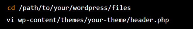 Vi and edit header.php file
