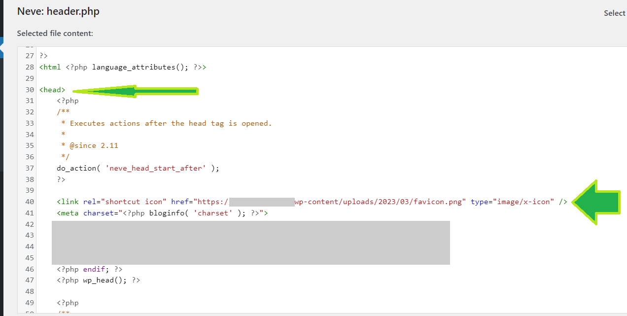 Favicon Path